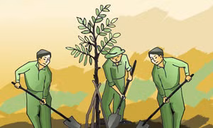 Tết trồng cây trở thành nét đẹp truyền thống của văn hóa Việt