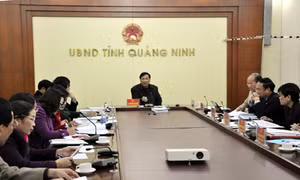 Cho ý kiến về chính sách hỗ trợ sinh viên Trường Đại học Hạ Long