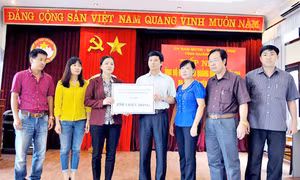 "Cam kết quản lý, sử dụng tiền và hàng hoá được hỗ trợ đúng quy định; kịp thời, khách quan, không để xảy ra thất thoát"