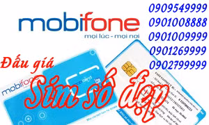 BÁN ĐẤU GIÁ TRỰC TUYẾN SIM ĐIỆN THOẠI ĐỂ ỦNG HỘ NGƯỜI DÂN VÙNG LỤT