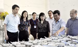 HĐND tỉnh: Đổi mới, nâng cao chất lượng hoạt động giám sát