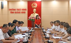 Ban Pháp chế HĐND tỉnh: Hiệu quả hoạt động giám sát, khảo sát