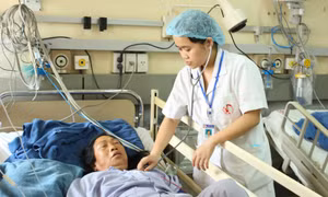 Hai vợ chồng nguy kịch vì ăn canh hoa loa kèn