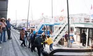 Nâng cao chất lượng đội tàu du lịch trên Vịnh Hạ Long