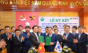 "Vững tin mở ra trang mới trong lịch sử phát triển của Hoành Bồ, Hạ Long"