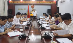 Thẩm tra báo cáo, tờ trình, dự thảo nghị quyết trình tại kỳ họp thứ 2, HĐND tỉnh khóa XIII