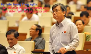 "Lò" đã nóng và chúng ta không ai muốn thêm "củi" khi đặc khu ra đời"