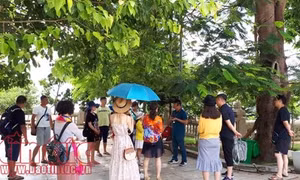 Luật mới, 90% hướng dẫn viên du lịch chưa biết về đâu