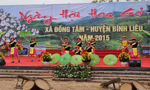 Du khách nô nức trảy hội hoa sở xã Đồng Tâm (Bình Liêu) 2015