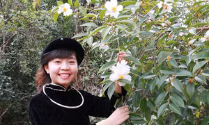 Rạng rỡ về dự hội hoa sở