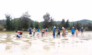 Chú trọng phát triển sản phẩm du lịch có thế mạnh