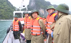 Các đồng chí lãnh đạo tỉnh kiểm tra công tác phòng, chống bão số 3 tại các địa phương