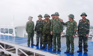 Đoàn công tác Bộ Tư lệnh Quân khu 3 kiểm tra công tác ứng phó bão số 3 tại Quảng Ninh