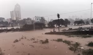 Bão số 3 không gây nhiều thiệt hại cho Quảng Ninh