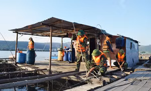 Chủ động ứng phó với bão số 3
