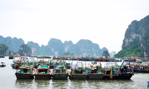 Tuyệt đối không lơ là, chủ quan