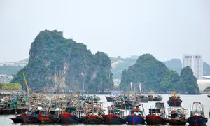 Tàu, thuyền khẩn trương về nơi tránh trú bão an toàn