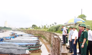 Lãnh đạo tỉnh kiểm tra công tác phòng, chống bão tại Móng Cái, Bình Liêu