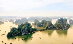 Ứng dụng mạng xã hội trong phát triển du lịch