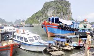 Vân Đồn: Đảm bảo an toàn hành lang tuyến luồng đường thủy