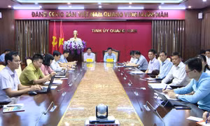 Giao ban trực tuyến công tác tổ chức xây dựng Đảng