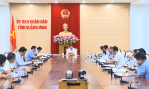Giao ban Ban Cán sự Đảng, Thường trực UBND tỉnh