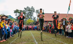Vui hội