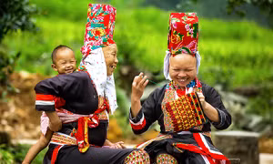 Niềm vui