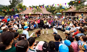 Thi đẩy gậy
