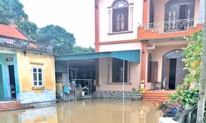 "Chạy lụt" do dự án