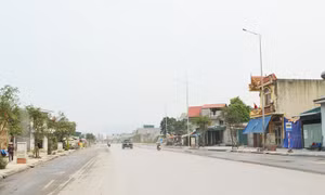 Khiếu nại của bà Bùi Thị Tạo đề nghị bồi thường phần kiến trúc là không có cơ sở
