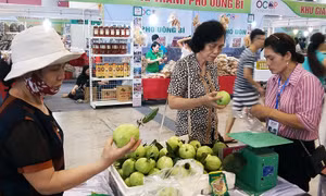 5 ngày, doanh thu Hội chợ OCOP đạt trên 10 tỷ đồng