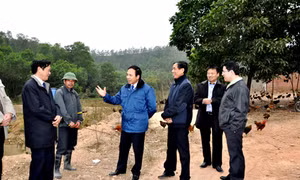 Phó Chủ tịch UBND tỉnh Đặng Huy Hậu kiểm tra công tác phòng, chống dịch cúm gia cầm tại Đông Triều