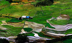 Tây Bắc mùa nước đổ