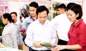 Phát triển chương trình OCOP chuyển từ lượng sang chất
