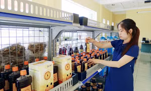 Triển khai chương trình OCOP năm 2017