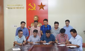 4/5 địa phương bàn giao mặt bằng cao tốc Vân Đồn – Móng Cái
