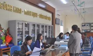 Trả lời bạn đọc