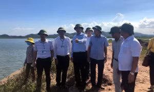 Lãnh đạo tỉnh kiểm tra công tác GPMB Dự án cao tốc Vân Đồn- Móng Cái tại Hải Hà, Tiên Yên