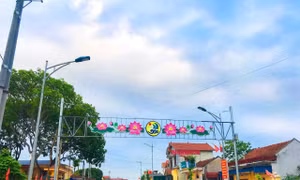 Đình chỉ giải quyết khiếu nại đối với 3 hộ dân phường Tân An