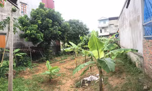UBND TX Đông Triều trả lời đơn của bà Nguyễn Thị Hiền