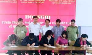 Quản lý ngoại tệ trong kinh doanh