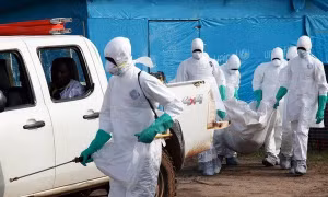 Canada chi thêm gần 21 triệu USD nghiên cứu điều trị Ebola