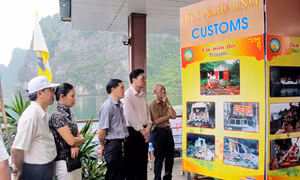 Góc nhìn qua một cuộc triển lãm