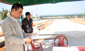 Chợ trung tâm Hải Hà cũ chính thức dừng hoạt động