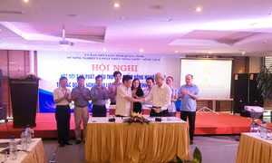 Hỗ trợ tiêu thụ sản phẩm OCOP