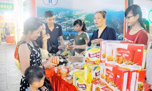 Tiên Yên đảm bảo ATTP sản phẩm OCOP