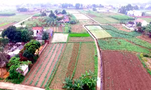 Nông thôn mới kiểu mẫu ở Hải Hà