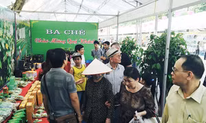 Ba Chẽ: 8 sản phẩm tham gia Hội thi Sản phẩm OCOP tỉnh