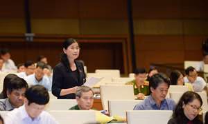 Đoàn ĐBQH tỉnh tham gia thảo luận vào Dự án Luật tạm giữ, tạm giam